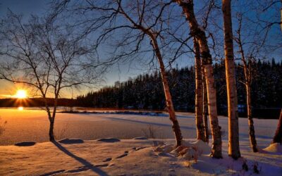 Betriebsurlaub von 02.02.-08.02.2026